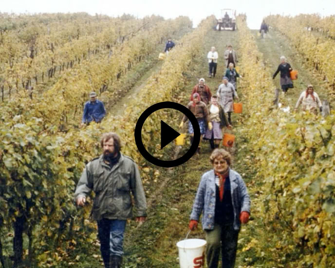 Video Video abspielen