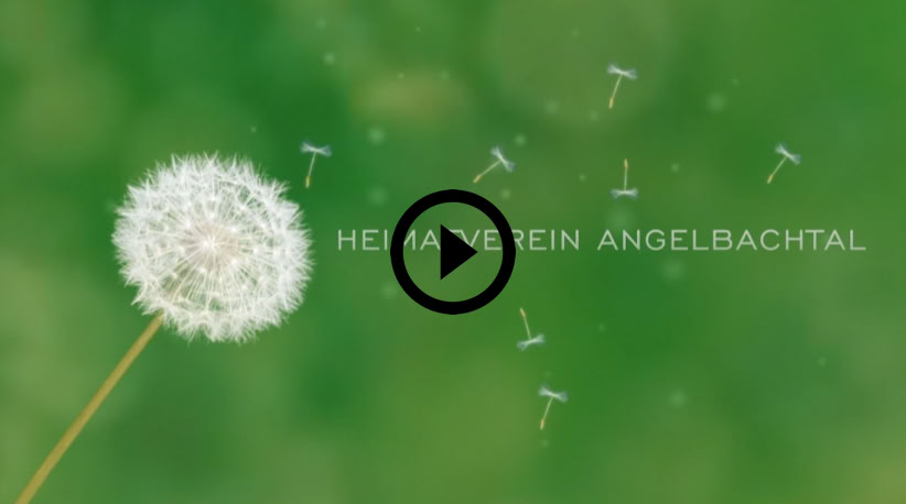 Video Video abspielen